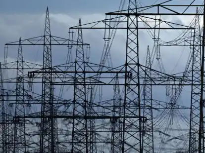 Strommasten auf einem Acker. &laquo;Die Zeit der billigen Energie ist vorbei&raquo;, meint Netzagenturchef M&uuml;ller.