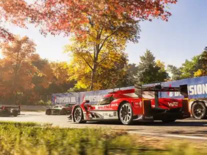 Sch&ouml;ne Strecke, aber ausbauf&auml;hig:&nbsp;&laquo;Forza Motorsport&raquo; geht erst einmal mit nur 20 Rennstrecken an den Start.