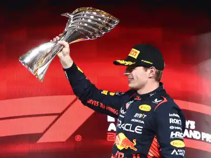 Lie&szlig; der Konkurrenz in der vergangenen Formel-1-Saison keine Chance: Max Verstappen.