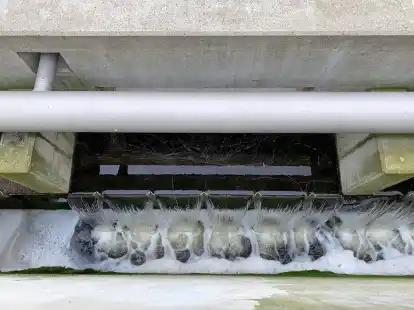 Im Kl&auml;rwerk Oldenburg werden w&ouml;chentlich Proben aus dem Abwasser genommen.