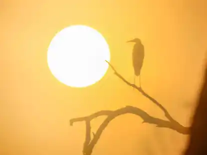 2023 war das w&auml;rmste Jahr in Deutschland seit Beginn der Aufzeichnungen 1881.