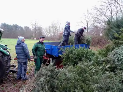 Wie schon die Jahre zuvor werden auch am 6. Januar 2024 in Achternmeer und Harbern I Tannenb&auml;ume gesammelt.