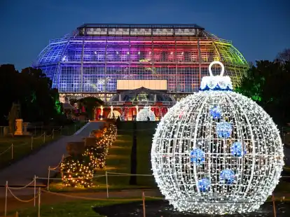 Weihnachtliche Stimmung in Berlin-Dahlem: Als &laquo;Christmas Garden&raquo; wird auch der Botanische Garten mit zahlreichen Lichtern und Lichtinstallationen geschm&uuml;ckt.