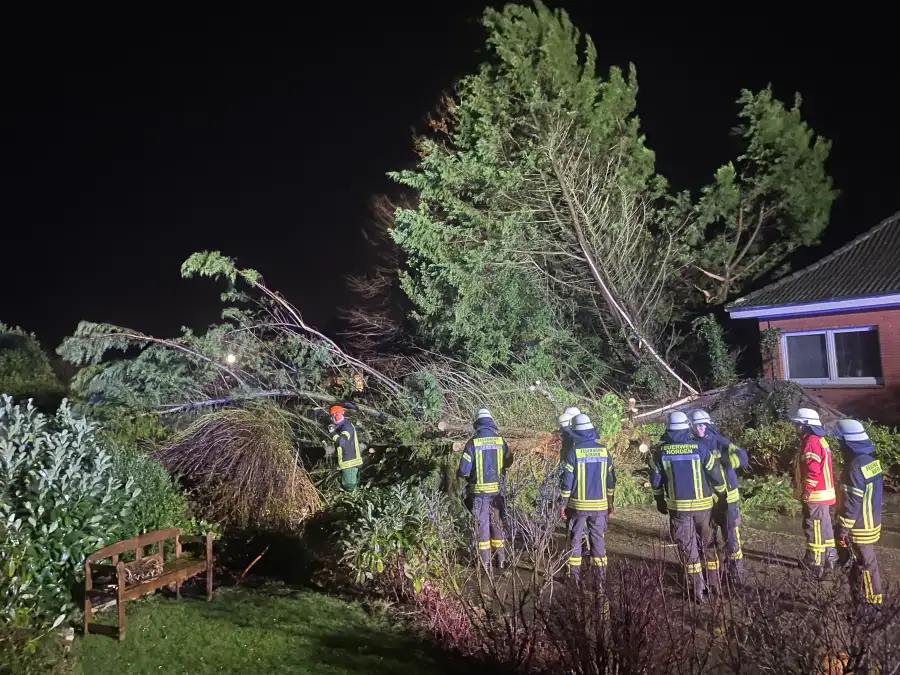 Einsatz in Norden: Sturmben entwurzeln 20 Meter hohen Baum