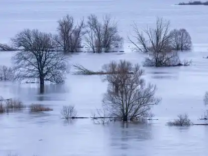 Gro&szlig;fl&auml;chig &uuml;berflutetes Elbetal bei Boizenburg. Zwischen D&ouml;mitz und Boizenburg hat die Elbe Pegelst&auml;nde von mehr als 5,60 beziehungsweise 5,55 &uuml;bertroffen.