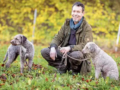 <p> Tr&uuml;ffelbauer Fabian Sievers mit seinen Tr&uuml;ffelhunden Djuka (li.) und Woopee (re.) auf seiner Tr&uuml;ffelplantage bei Alfeld. </p>