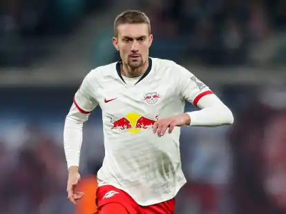 Der &Ouml;sterreicher Stefan Ilsanker hat seine Karriere beendet.