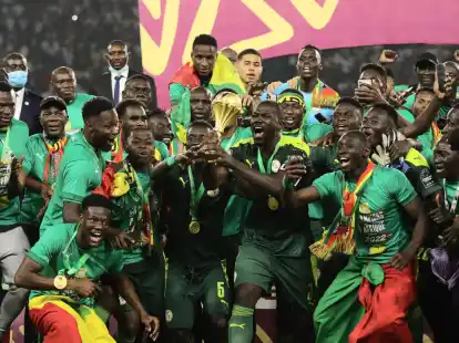 In diesem Jahr findet der Afrika-Cup in der Elfenbeink&uuml;ste statt.