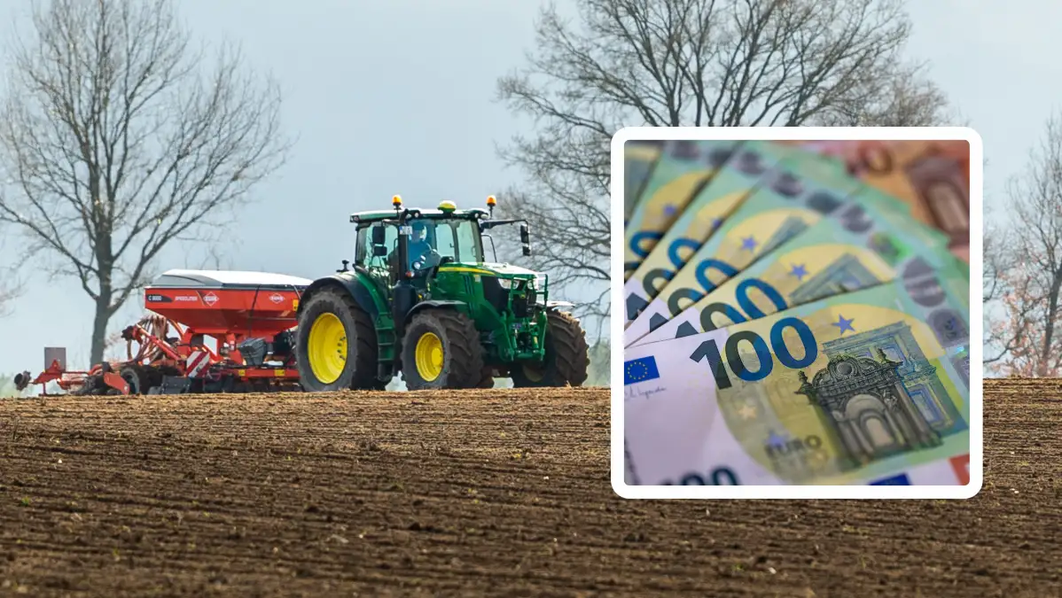 Fördergeld in der Landwirtschaft: So viel verdienen Bauern mit