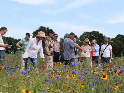 Besuchermagnet: Das &bdquo;Bienengl&uuml;ck&ldquo; lockte in den vergangenen f&uuml;nf Jahren zahlreiche Besuchergruppen, die von Dr. Klaus Hanke (Bild, Mitte) oder seinen Mitstreitern gef&uuml;hrt wurden.