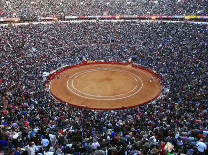 Stierkampfgegner prangern das Leiden und T&ouml;ten der Tiere an.