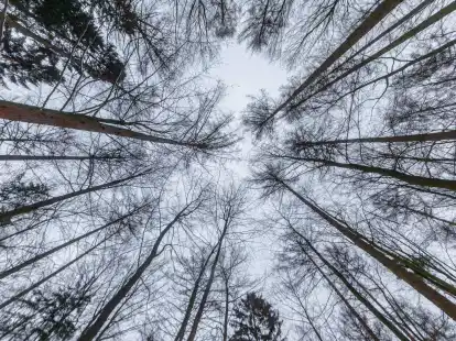 Am Wochenende wird es etwas w&auml;rmer, daf&uuml;r aber weniger sonnig.