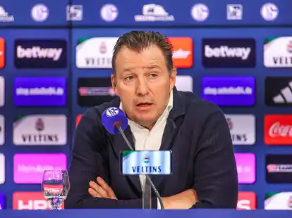 Will Schalke auf die Erfolgsspur f&uuml;hren: Marc Wilmots.