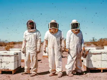 Bienenretter in der Wüste: Afredo Fierro (von links) und seine Mitarbeiter Ubaldo und José während der Insekten-Pflege bei Wenden im US-Bundesstaat Arizona.