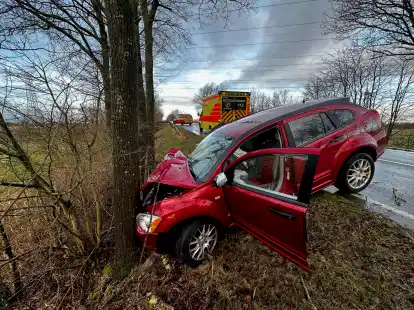 Auf glatter Fahrbahn ist der Wagen auf der Accumer Landstra&szlig;e ins Schleudern geraten und gegen einen Baum geprallt.