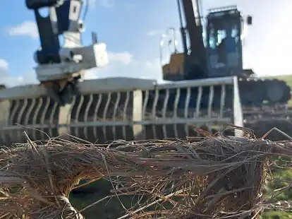 Thorsten Bartzok von der Sielacht Wangerland entfernt Teek am Elisabethgrodendeich.