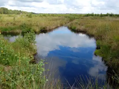 Eine Moorlandschaft in Uplengen: Die Natur in der Gemeinde wird im Klimaschutzkonzept eine wichtige Rolle spielen.