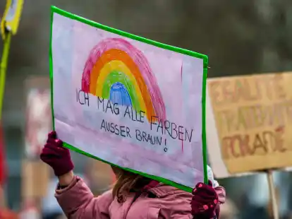 Die Proteste gegen Rechtextremismus k&ouml;nnten die gesellschaftlichen Debatten ver&auml;ndern.