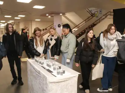 K&uuml;nstlerische Aufarbeitung: Um &bdquo;Widerstand&ldquo; ging es im Gymnasium Wildeshausen in einer Ausstellung zum Gedenktag an die Opfer des Nationalsozialismus.