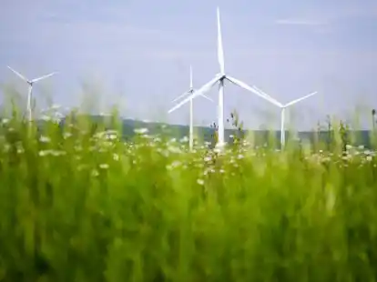 Im Norden Deutschlands wird mehr &Ouml;kostrom produziert als verbraucht, im S&uuml;den ist es umgekehrt.