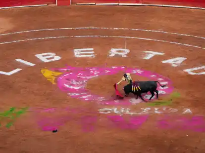Nach rund anderthalbj&auml;hriger Pause finden in der Plaza M&eacute;xico in Mexiko-Stadt wieder Stierk&auml;mpfe statt.