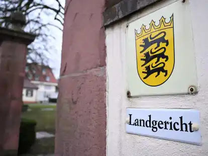 Vor dem Landgericht Mosbach hat der Prozess gegen einen selbst ernannten Life Coach und seinen j&uuml;ngeren Bruder begonnen.