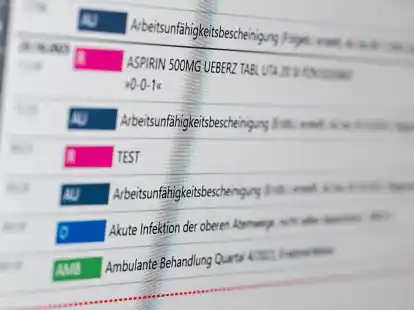 So k&ouml;nnte die elektronische Patientenakte aussehen.