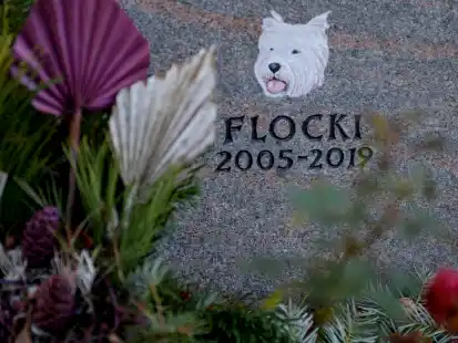 Das Grab eines Hundes mit dem Namen Flocki ist auf dem Friedhof in Hamburg-Ohlsdorf mit Blumen geschm&uuml;ckt: In der Hansestadt gibt es bereits M&ouml;glichkeiten, dass Herrchen und Frauchen mit ihren Tieren gemeinsam bestattet werden k&ouml;nnen.