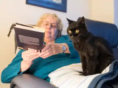 Eine alte Katze sitzt auf dem Scho&szlig; ihrer Besitzerin (Symbolbild): Besonders &auml;ltere Menschen, f&uuml;r die ihr Haustier oft der engste Freund und Begleiter ist, w&uuml;nschen sich nach dem Tod, gemeinsam mit ihm in einem Grab bestattet zu werden. Doch Friedh&ouml;fe mit Mensch-Tier-Bestattungen gibt es in unserer Region noch nicht.
