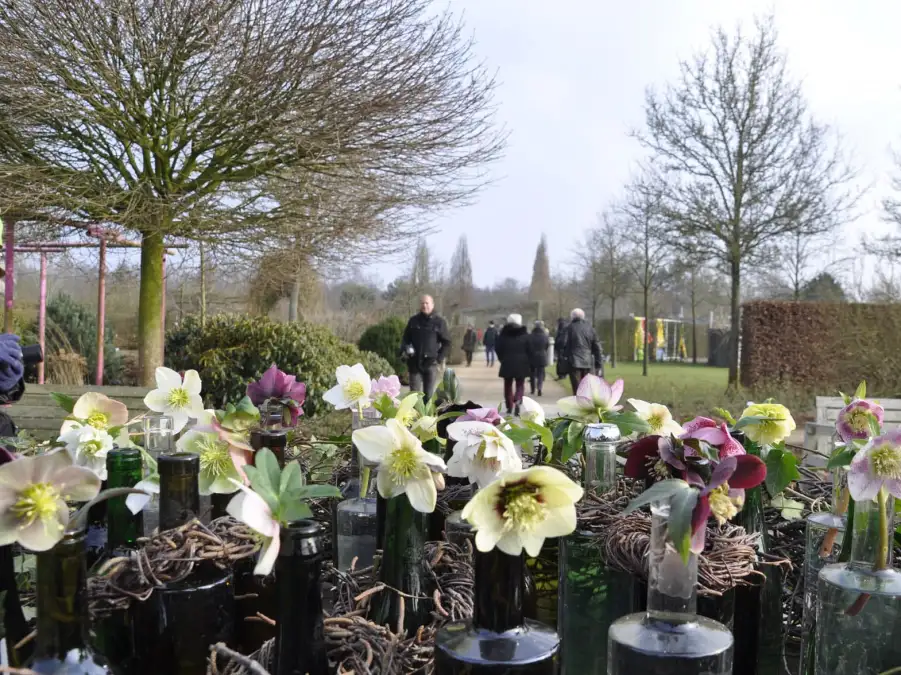 Park der Gärten in Rostrup Sonderöffnung Winterblüte im Park am 11