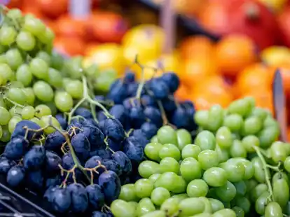 Laut einem Statistik-Handbuch zur Fruit Logistica wurden im vergangenen Jahr in Deutschland 5,2 Millionen Tonnen Obst und Gem&uuml;se geerntet.