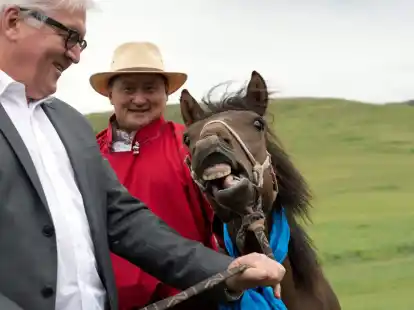 Der damalige Bundesau&szlig;enminister Frank-Walter Steinmeier (l) hat bei seiner Reise in die Mongolei im Jahr 2014 ein&nbsp;Pferd namens &laquo;Donnernde Hufe&raquo; geschenkt bekommen (Archivbild).