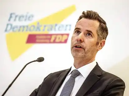 Christian D&uuml;rr, Fraktionsvorsitzender der FDP,