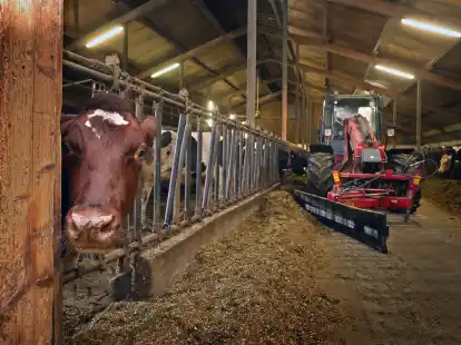 Auch zum Thema Landwirtschaft k&ouml;nnen sie Frieslands B&uuml;rger bei der Erstellung eines Klimaanpassungskonzepts einbringen. (Symbolbild)