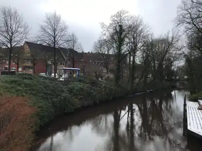 25 B&auml;ume sollen f&uuml;r die Kunstmeile weichen.