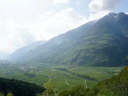 Das untere Vinschgau ist gepr&auml;gt von Apfelplantagen.