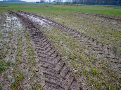 Weniger Brachfl&auml;chen: Die EU-Kommission will eine Umweltauflage f&uuml;r europ&auml;ische Bauern lockern.