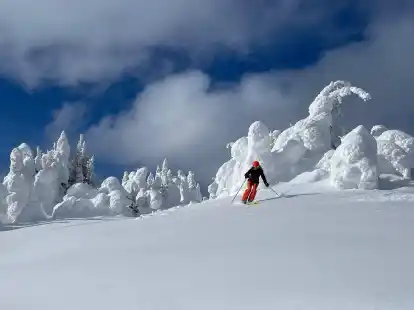Mitten drin im Schnee, abseits der Piste. Wie hier in Sun Peaks d&uuml;rfen Skifahrer pr&auml;parierte Bereiche verlassen.