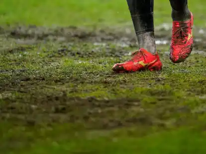 Der Rasen im Saarbr&uuml;cker Ludwigsparkstadion wird nach der Absage des Pokalspiels gegen M&ouml;nchengladbach ausgetauscht.
