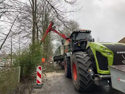 Am  Achterdiek werden entlang der Hunte B&auml;ume gef&auml;llt.