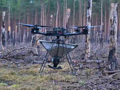 Eine Drohne tr&auml;gt einen Beh&auml;lter mit Saatgut, das als Pellets pr&auml;pariert worden ist.