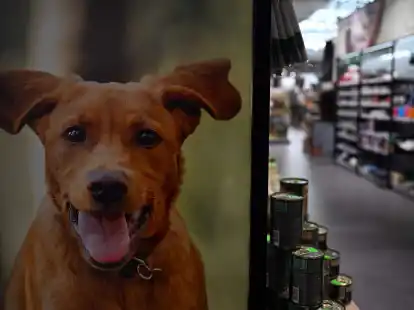 Die Heimtierbedarfskette Fressnapf verzeichnet ein Umsatzplus.