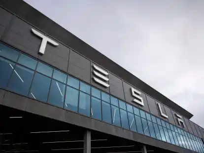 Die gepalnte Erweiterung der Tesla- Fabrik in Gr&uuml;nheide st&ouml;&szlig;t auf Widerstand.