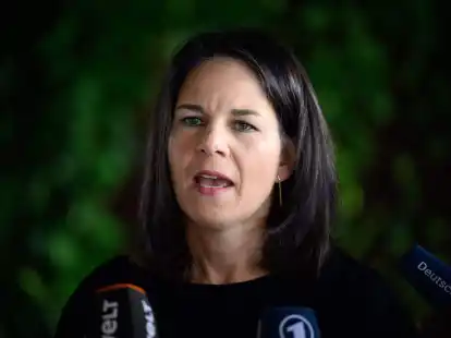 Annalena Baerbock beim G20-Au&szlig;enministertreffen in Rio de Janeiro.