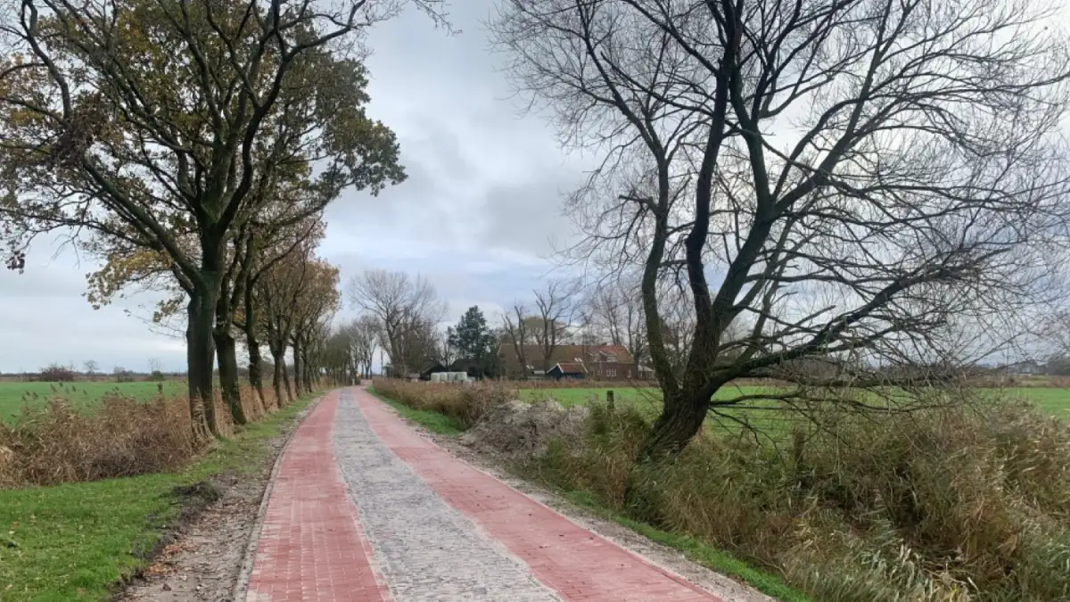 Neue Wege für die Landwirtschaft im Wangerland