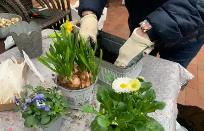 Frühblüher Deko selbst gemacht