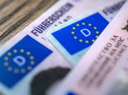 Verpflichtende Medizinchecks f&uuml;r Autofahrer werden besonders von deutschen Abgeordneten partei&uuml;bergreifend kritisch gesehen.