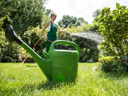 Kein Trinkwasser f&uuml;r den Garten: In Zeiten des Klimawandels spricht sich die Gemeinde f&uuml;r ein F&ouml;rderprogramm f&uuml;r Regenwasserzisternen und Brauchwasseranlagen aus (Symbolbild).
