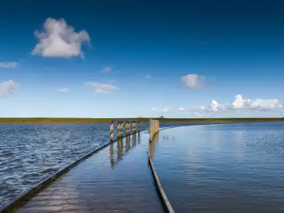 Der Langwarder Groden ist im Rennen um den sch&ouml;nsten Wanderweg Deutschlands.