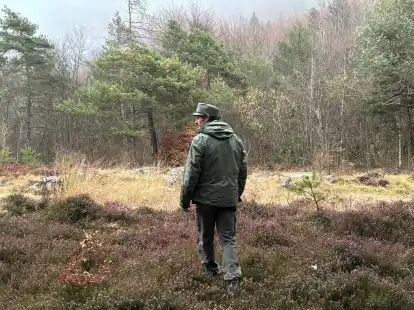 Ein Mitarbeiter des Forstkorps im Trentino untersucht ein Waldst&uuml;ck. Im Trentino leben durch ein erfolgreiches Wiederansiedlungsprojekt wieder Braunb&auml;ren.